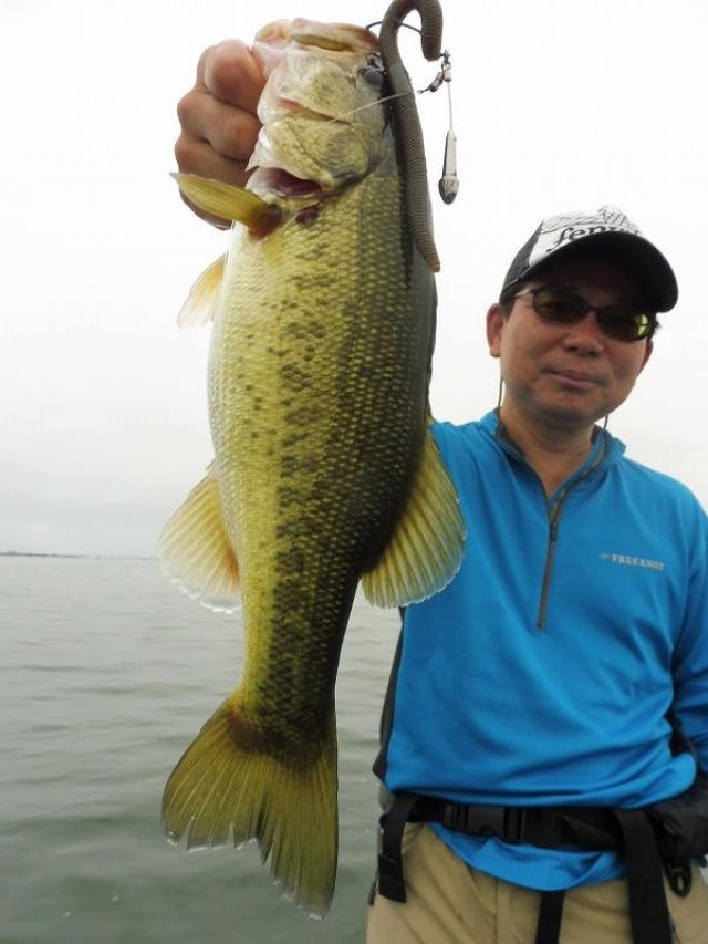 truth okuma ブログ写真 2016/08/28