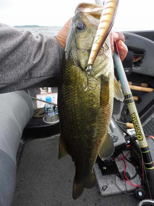 truth okuma ブログ写真 2016/08/28