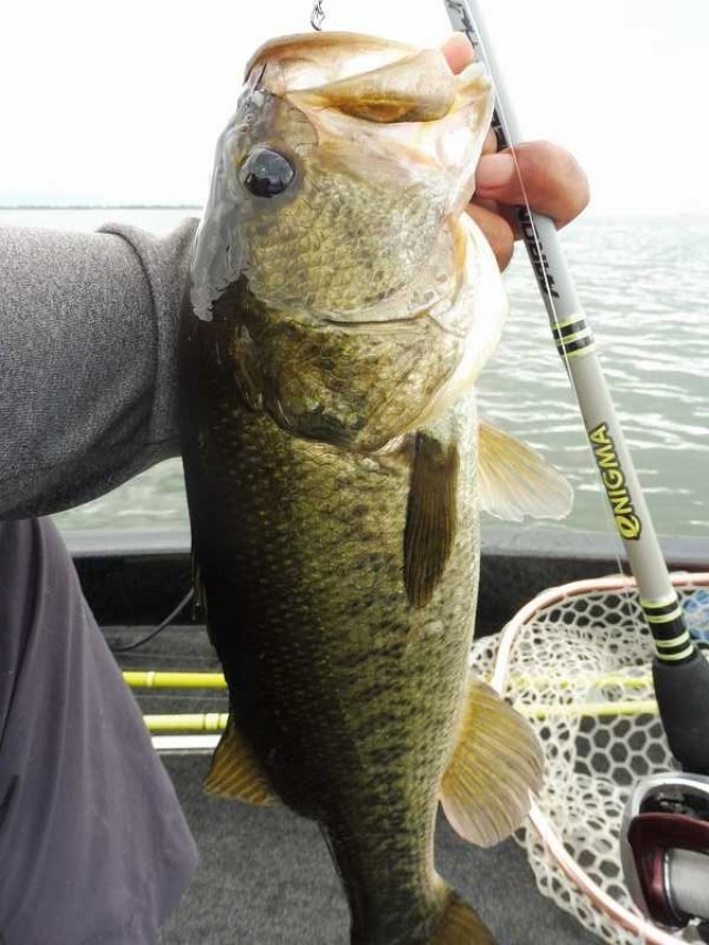 truth okuma ブログ写真 2016/08/28