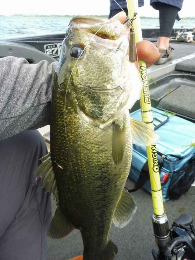 truth okuma ブログ写真 2016/09/04