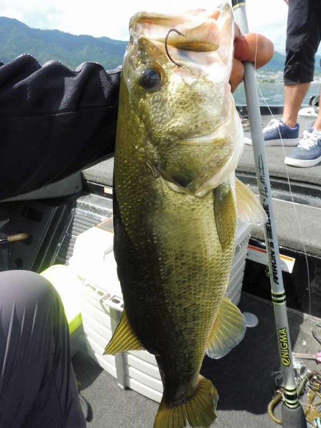 truth okuma ブログ写真 2016/09/05