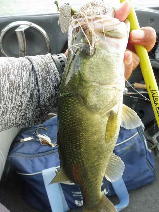 truth okuma ブログ写真 2016/09/06