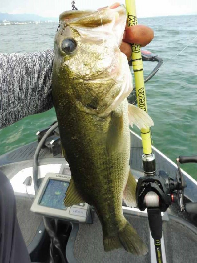 truth okuma ブログ写真 2016/09/06