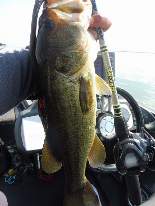 truth okuma ブログ写真 2016/09/07