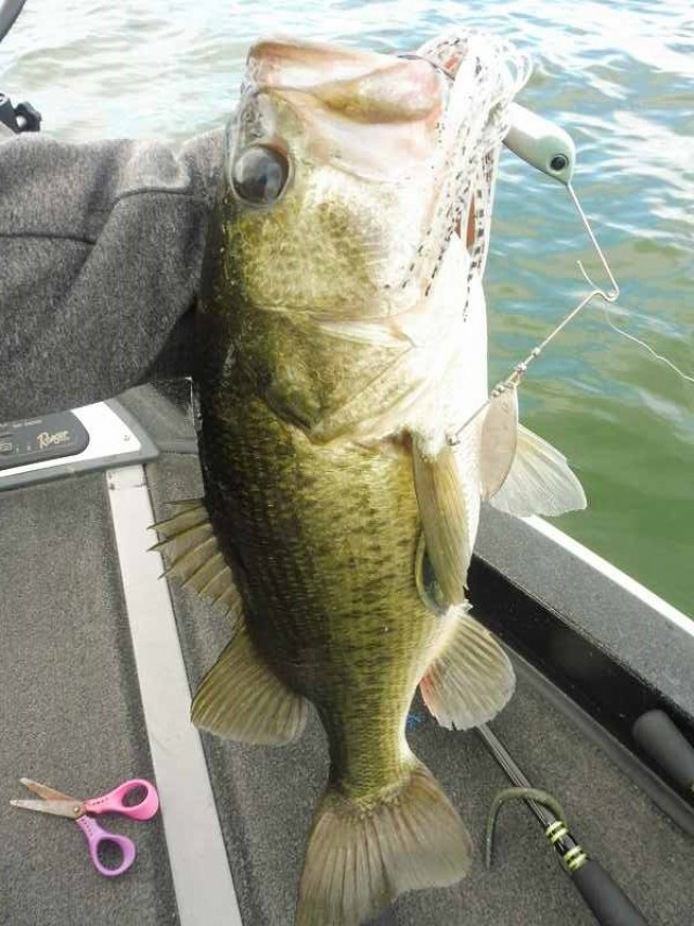 truth okuma ブログ写真 2016/09/08