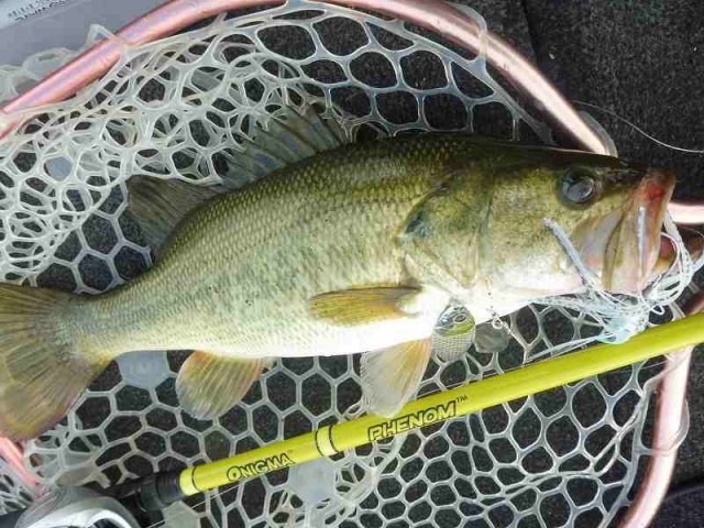 truth okuma ブログ写真 2016/09/08