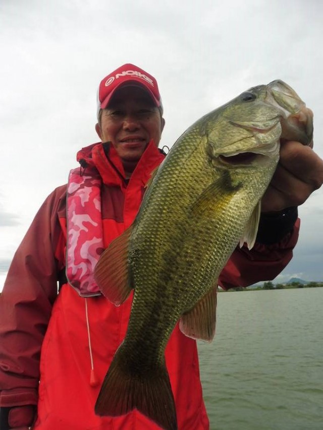 truth okuma ブログ写真 2016/09/08