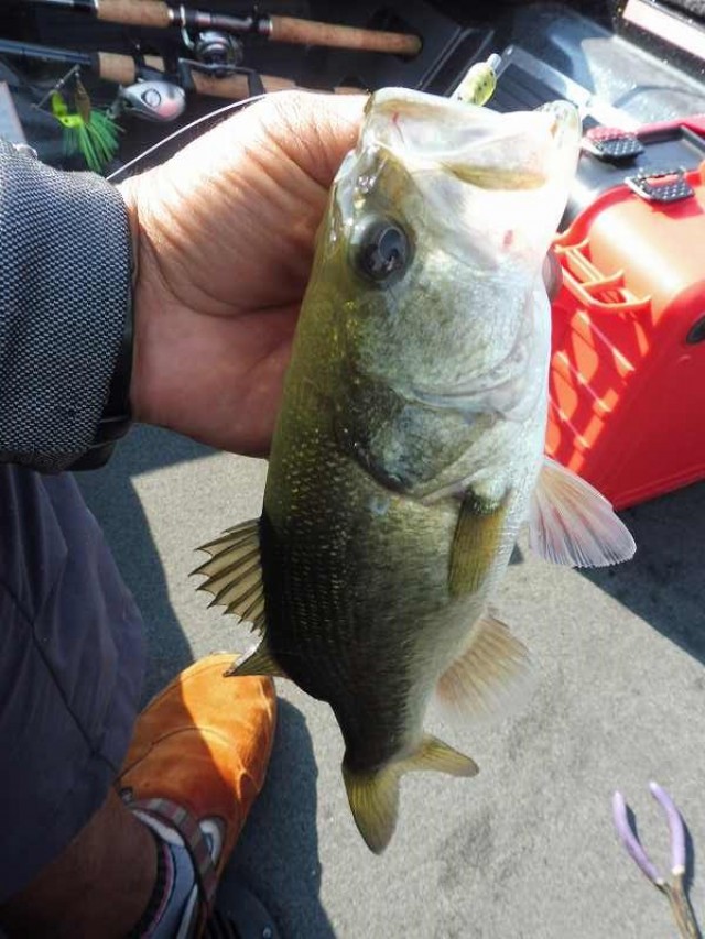 truth okuma ブログ写真 2016/09/11