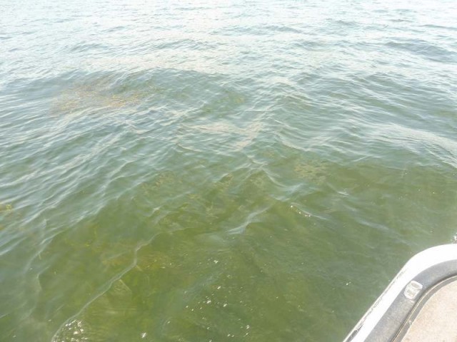 truth okuma ブログ写真 2016/09/11