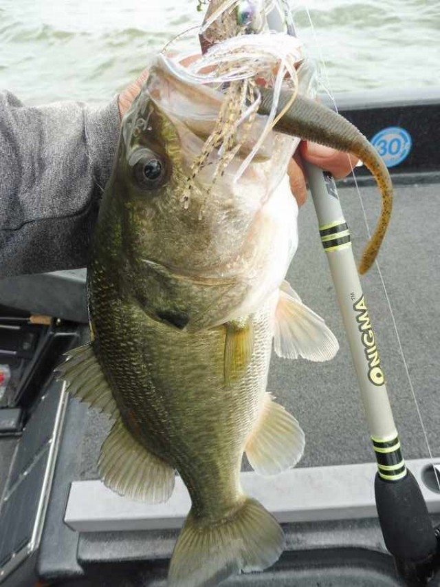 truth okuma ブログ写真 2016/09/12