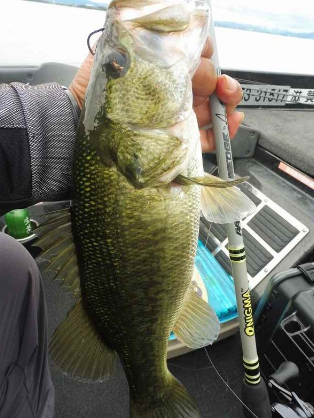 truth okuma ブログ写真 2016/09/13