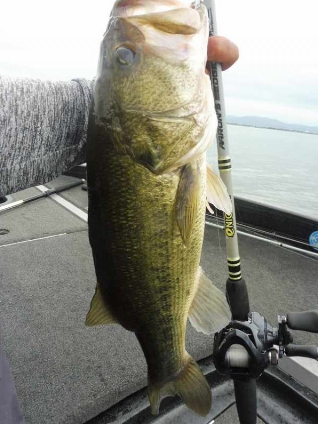 truth okuma ブログ写真 2016/09/14