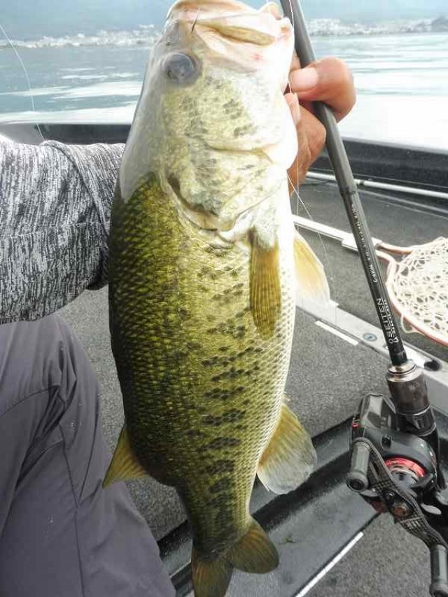 truth okuma ブログ写真 2016/09/14