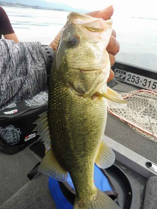 truth okuma ブログ写真 2016/09/14