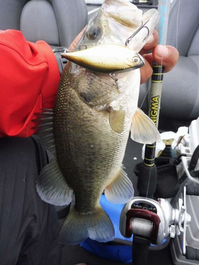 truth okuma ブログ写真 2016/09/19