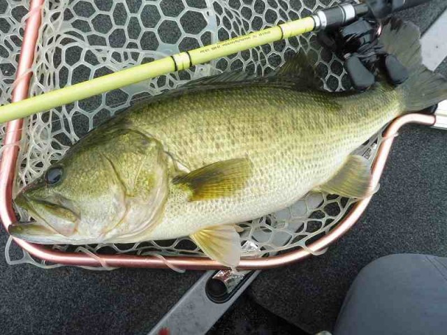 truth okuma ブログ写真 2016/09/19