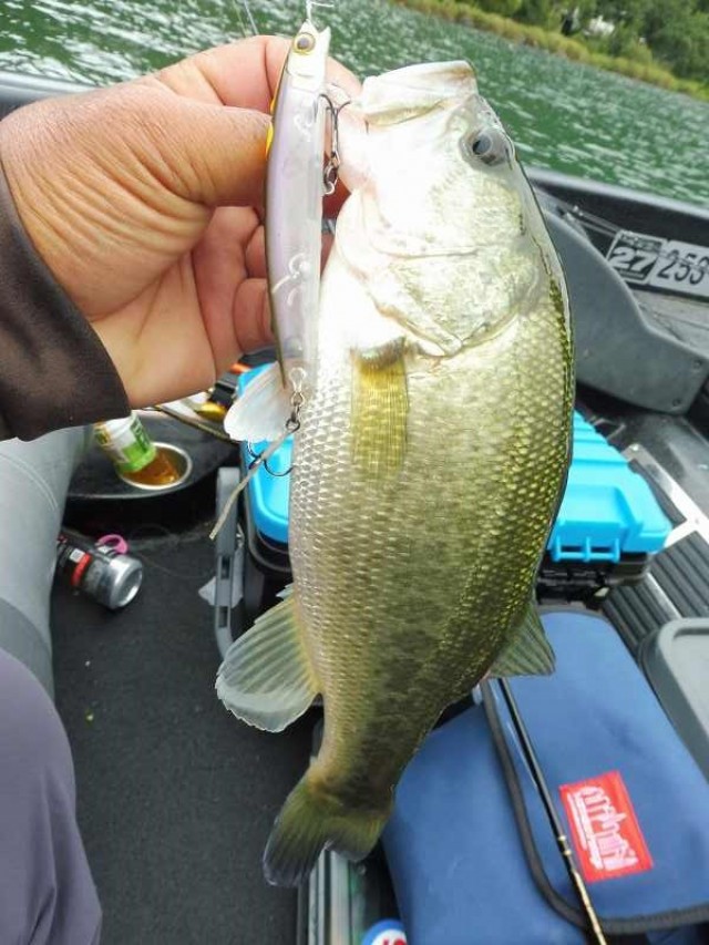 truth okuma ブログ写真 2016/09/22