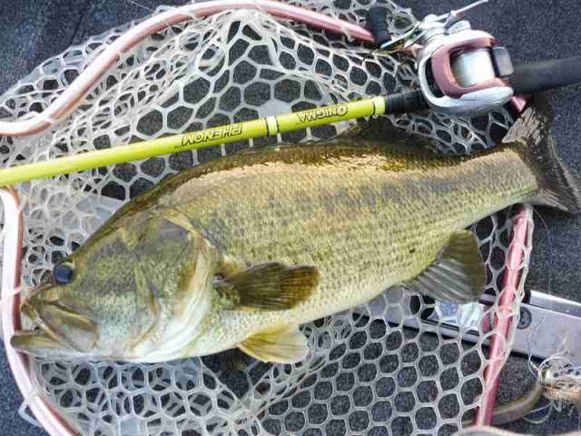 truth okuma ブログ写真 2016/09/23