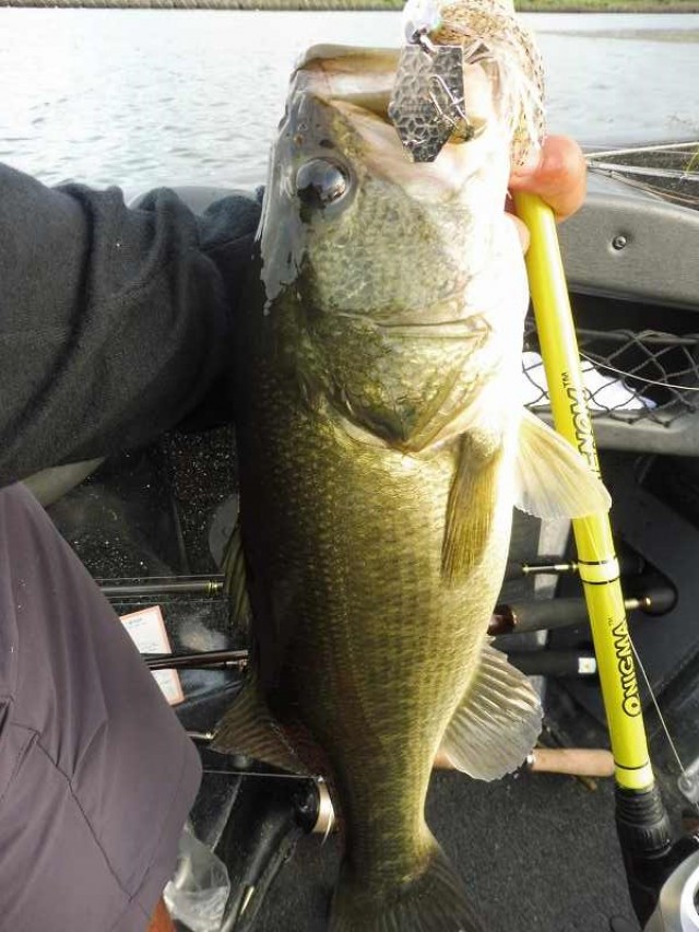 truth okuma ブログ写真 2016/09/23