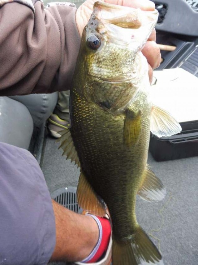 truth okuma ブログ写真 2016/09/24