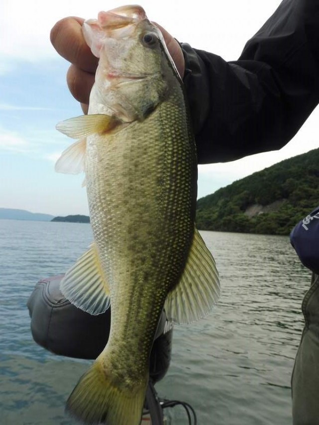 truth okuma ブログ写真 2016/09/24