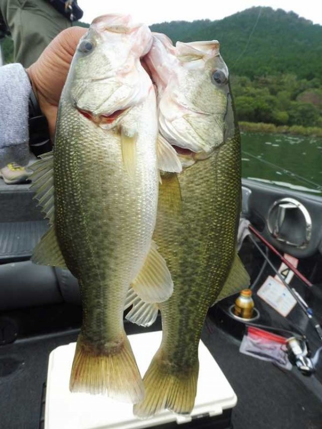 truth okuma ブログ写真 2016/09/24