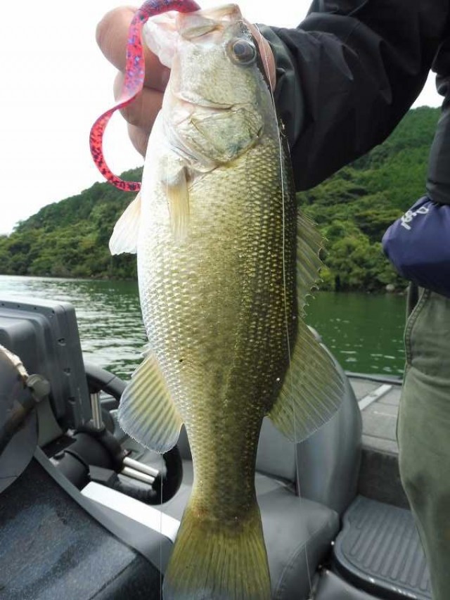 truth okuma ブログ写真 2016/09/24