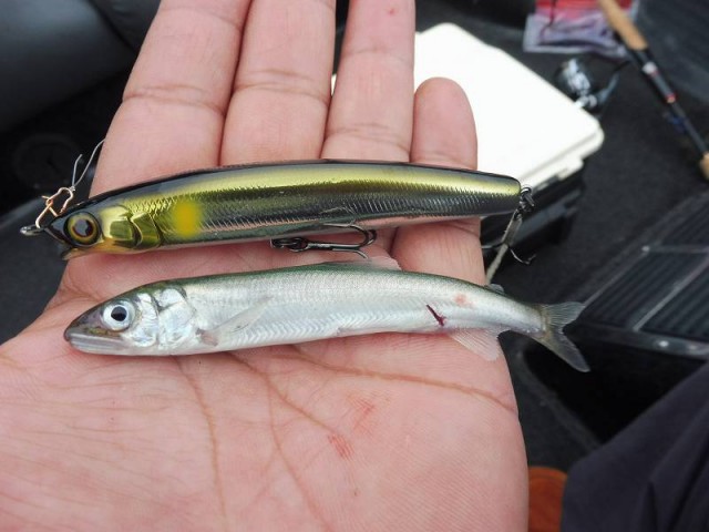 truth okuma ブログ写真 2016/09/24