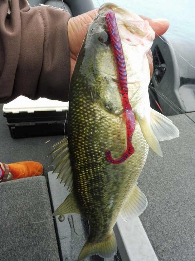 truth okuma ブログ写真 2016/09/24