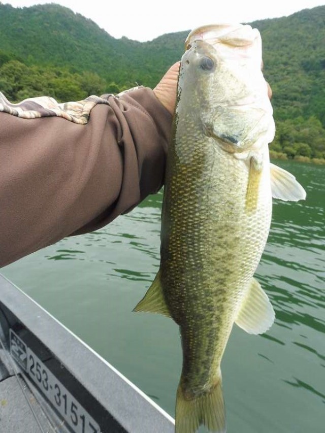 truth okuma ブログ写真 2016/09/24