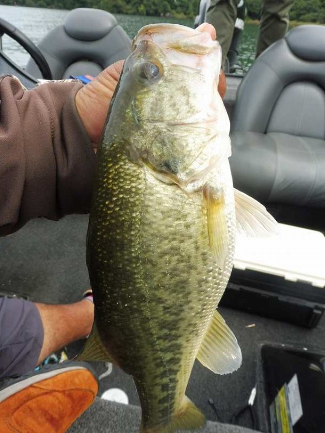 truth okuma ブログ写真 2016/09/24