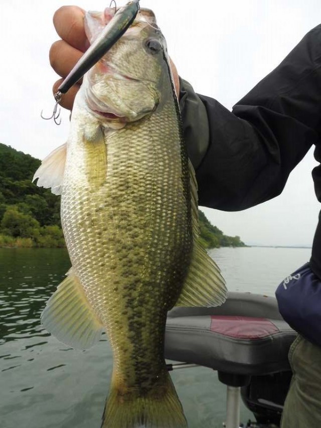 truth okuma ブログ写真 2016/09/24