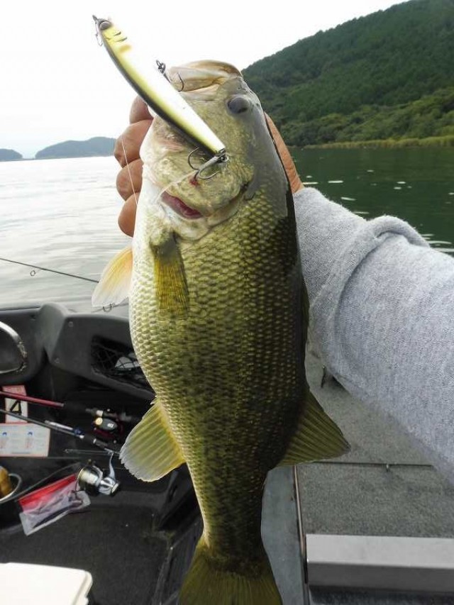 truth okuma ブログ写真 2016/09/24