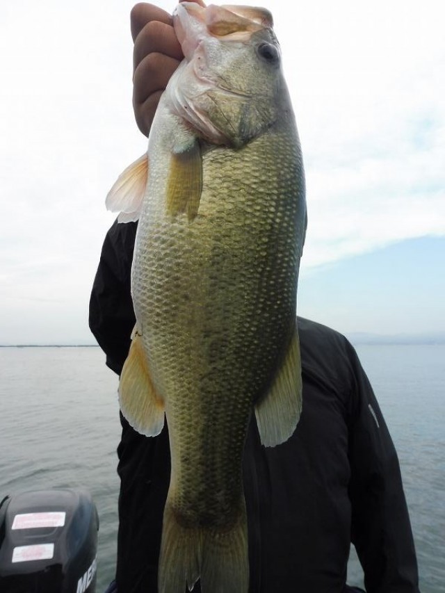 truth okuma ブログ写真 2016/09/24