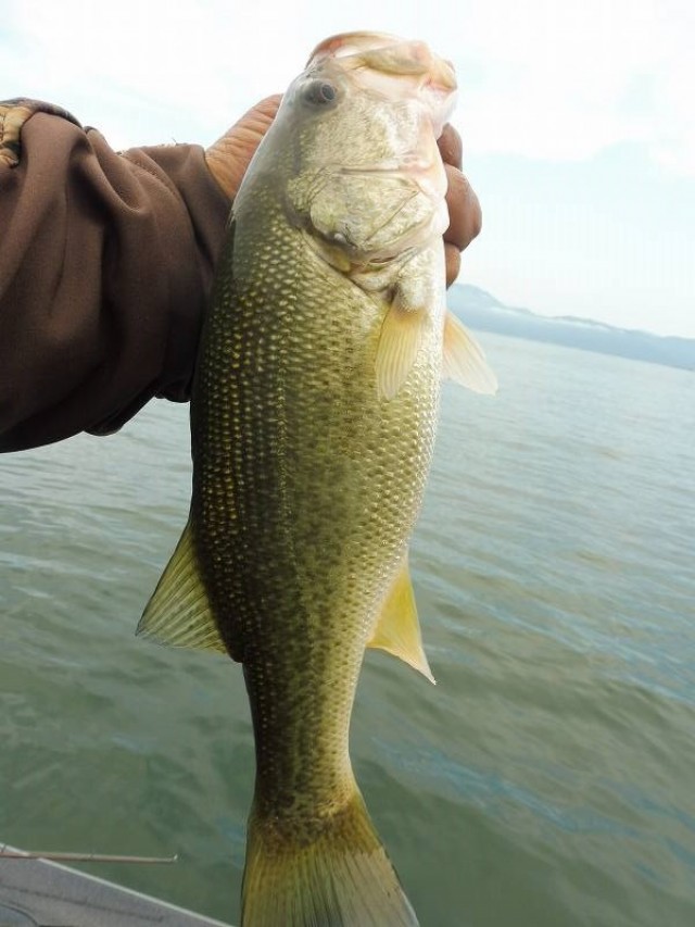 truth okuma ブログ写真 2016/09/24