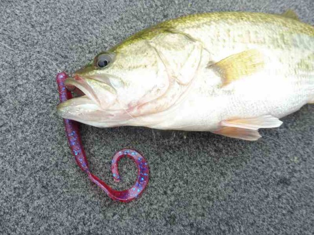 truth okuma ブログ写真 2016/09/24