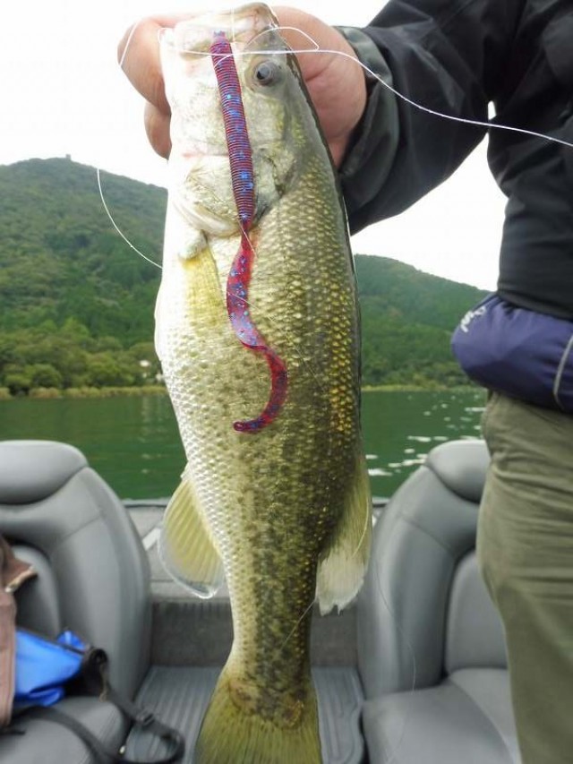 truth okuma ブログ写真 2016/09/24