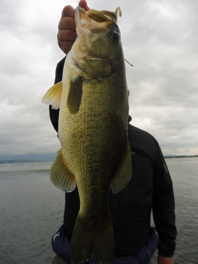 truth okuma ブログ写真 2016/09/24