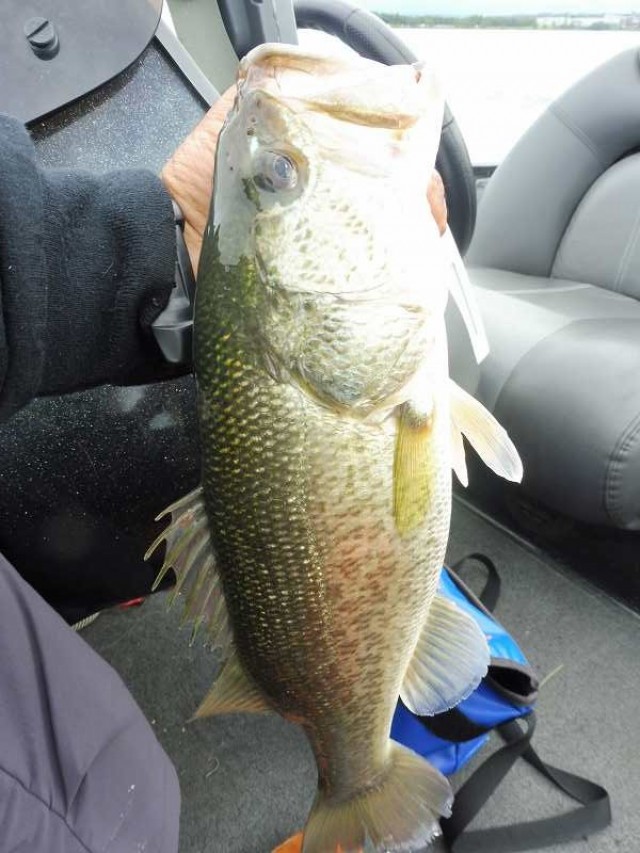 truth okuma ブログ写真 2016/09/25