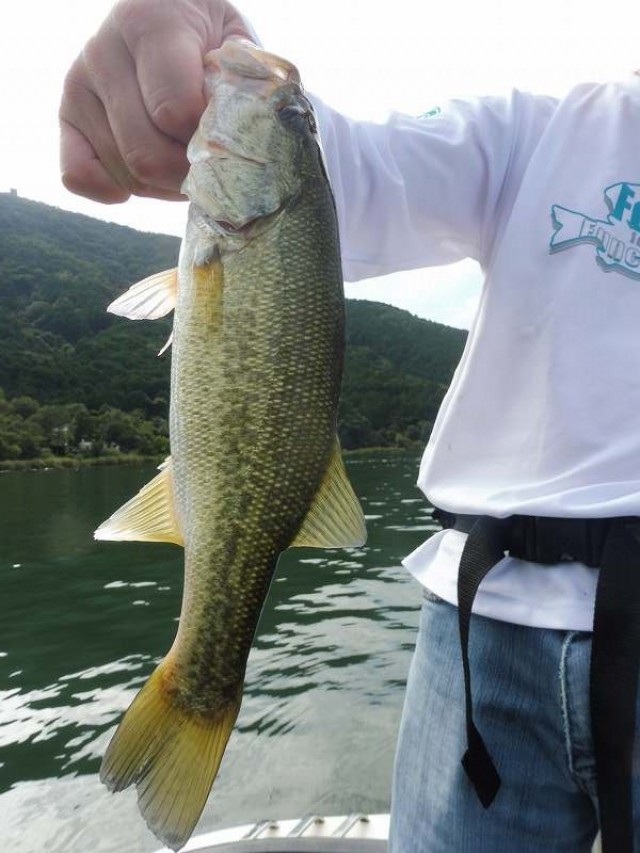 truth okuma ブログ写真 2016/09/25