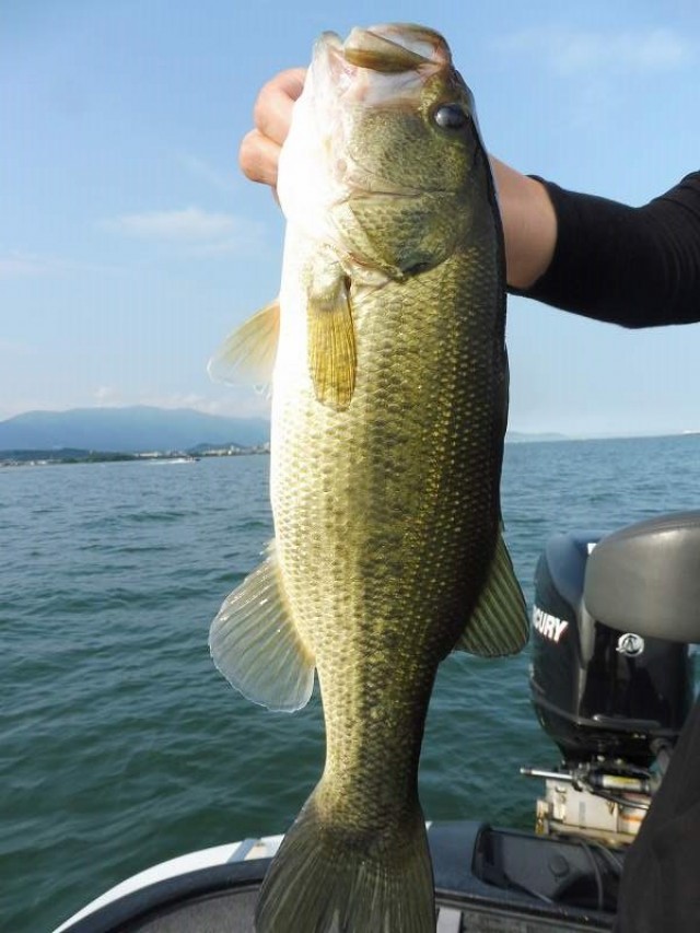 truth okuma ブログ写真 2016/10/02