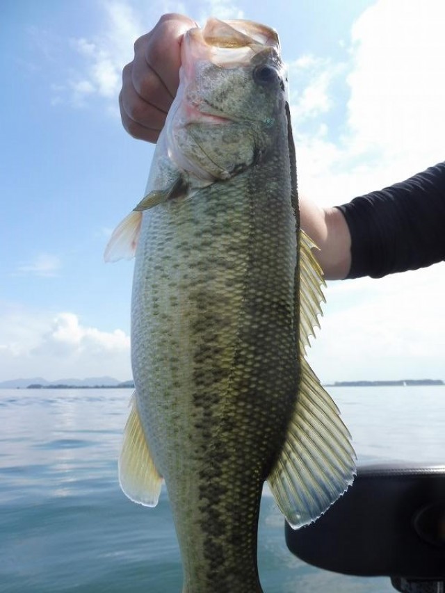 truth okuma ブログ写真 2016/10/02