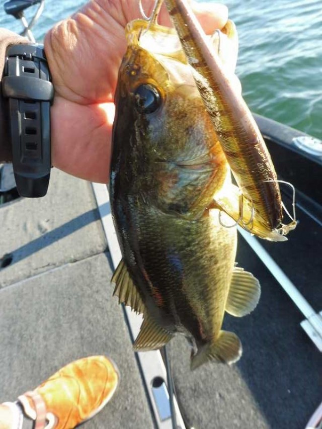 truth okuma ブログ写真 2016/10/07