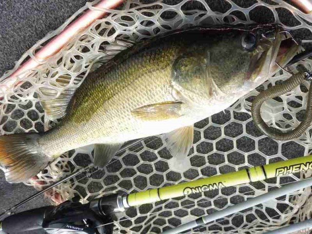 truth okuma ブログ写真 2016/10/07