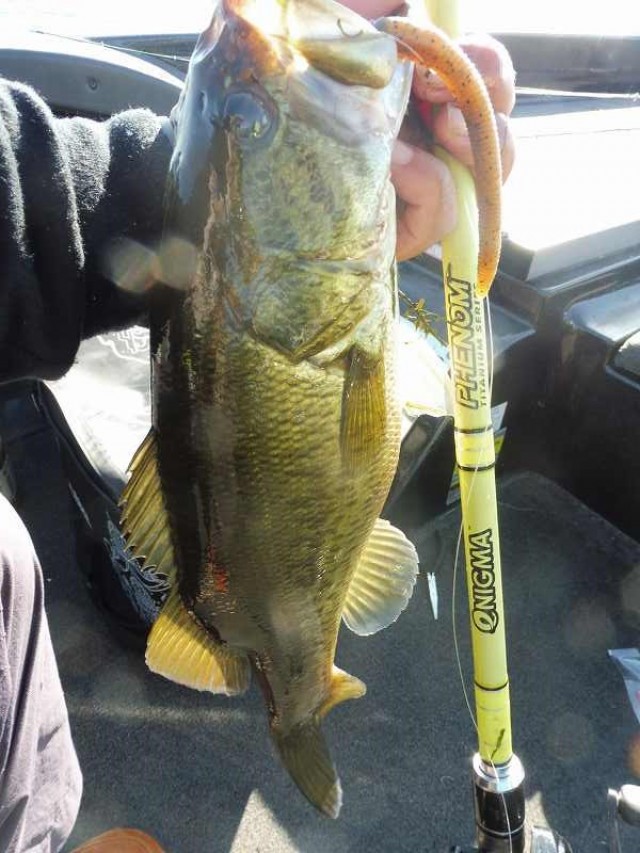 truth okuma ブログ写真 2016/10/07