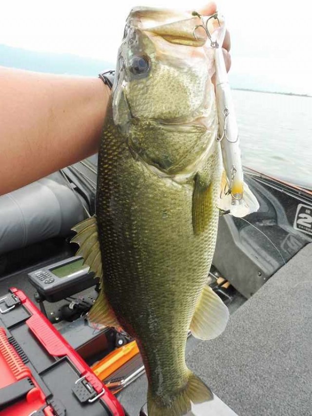 truth okuma ブログ写真 2016/10/08