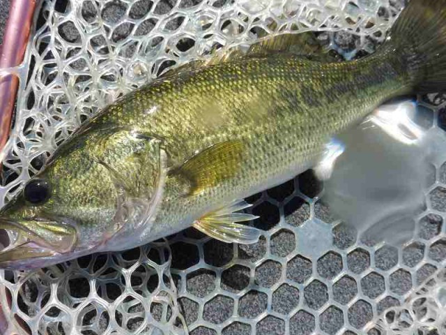 truth okuma ブログ写真 2016/10/10