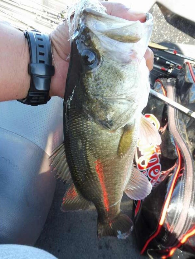 truth okuma ブログ写真 2016/10/10