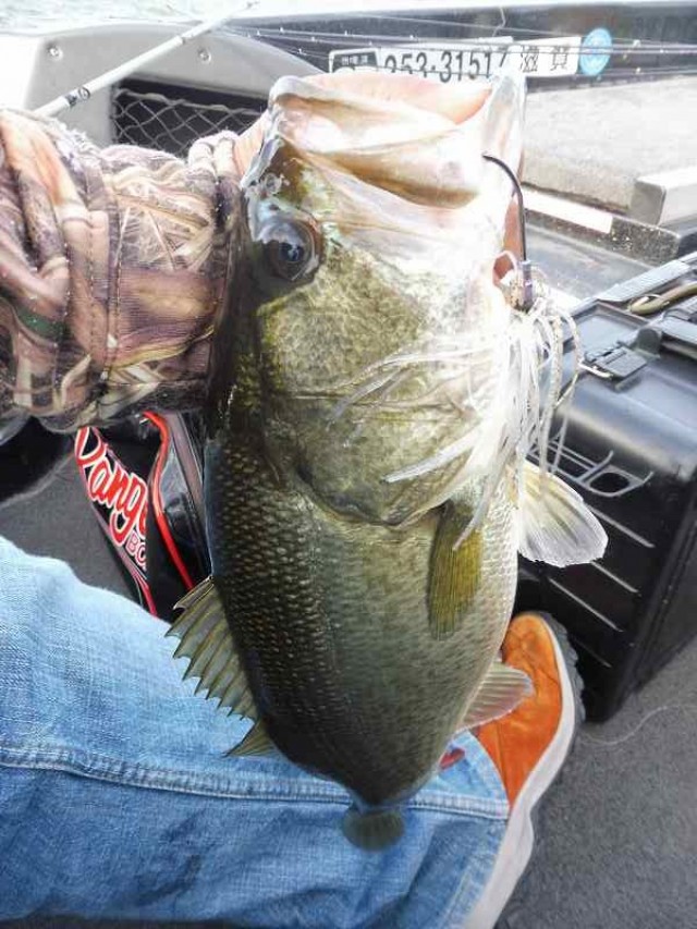 truth okuma ブログ写真 2016/10/10