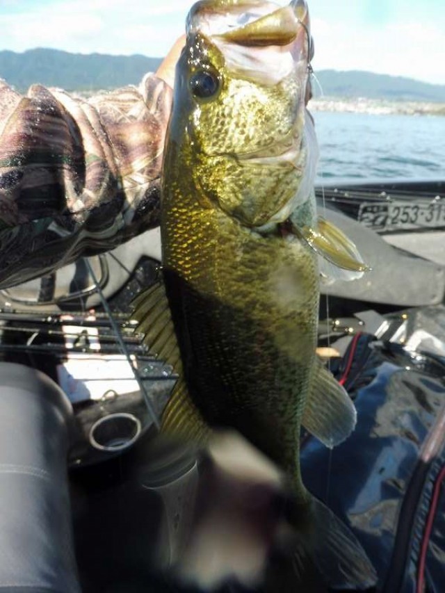 truth okuma ブログ写真 2016/10/10